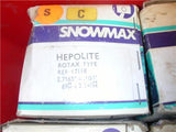 17118+20 VINTAGE NEW HEPOLITE SNOWMOBILE PISTON ROTAX SLED (REDATV-1)