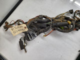 1981 Suzuki GS1100 ELECTRICAL WIRE HARNESS USED WWW-228 (k-shelf)