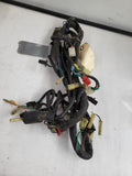 1984 Honda Magna 500 VF500c ELECTRICAL WIRE HARNESS USED WWW-246 (k-shelf)