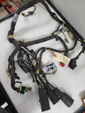 1984 Honda GL1200 Goldwing Interstate ELECTRICAL WIRE HARNESS USED WWW-258 (k-shelf)