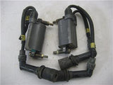 1988-90 Kawasaki ZX600C Pair of Ignition Coils Used WE-29 (Q3)