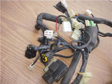 1995 YZF600 YZF600R 600 YAMAHA ELECTRICAL WIRE HARNESS USED WWW-73 (k34-36)