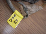 1972 XS650 650 YAMAHA ELECTRICAL WIRE HARNESS USED WWW-84 (k34-36)