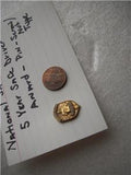 Vintage National Safety Council 5 year Safe Driver Award Pin Memorabilia used Collectible (Q-3)