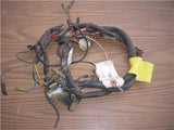 1975 DT100 100 (437) YAMAHA ELECTRICAL WIRE HARNESS USED WWW-96 (k34-36)