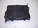 1997 Kawasaki ZG1000 Concourse ZG 1000 REAR Coolant Radiator used k3711-86 (D32)