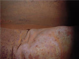 1974 ROCKFORD TORA 60 Gas Fuel Tank YELLOW USED T-549 (Donn A13)