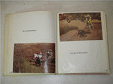 Vintage Mini Bike Mania Hardcover Book - Radlauer used Manual 121421-31 (man-d)